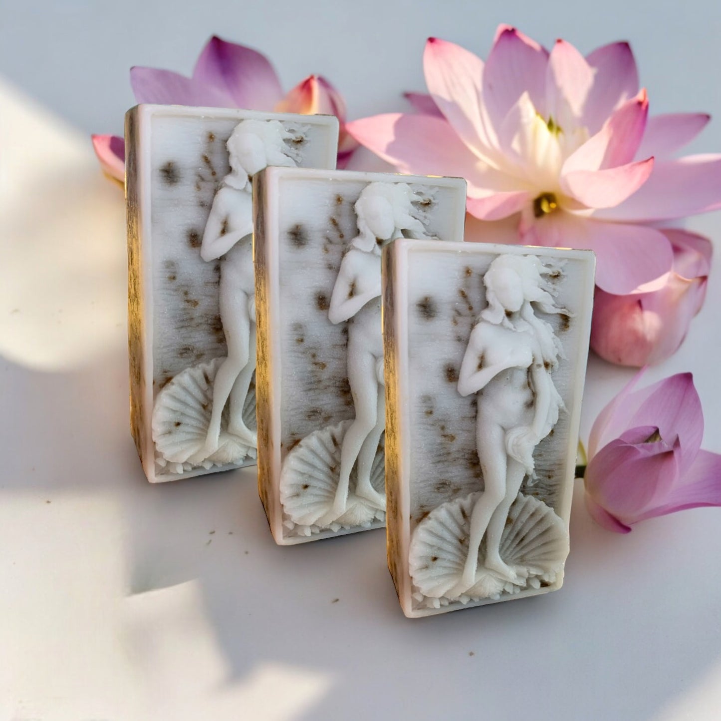 3 Pack Venus - Aesthetic Soaps by Venus - Acne Treatment Face & Body Wash Natural Cystic Acne Cleanser Soap Bar